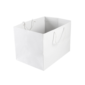 White colour Carry Bag